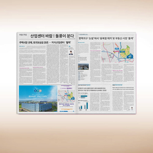 조선일보 부동산 특집 기사 2면 (4절)